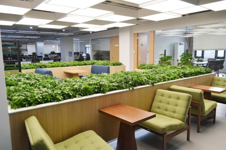 黃浦辦公設計裝修-綠色環保互聯網辦公室-第3張圖片-上海古都建筑設計集團 黃浦辦公設計裝修-綠色環保互聯網辦公室-第3張圖片-上海古都建筑設計集團