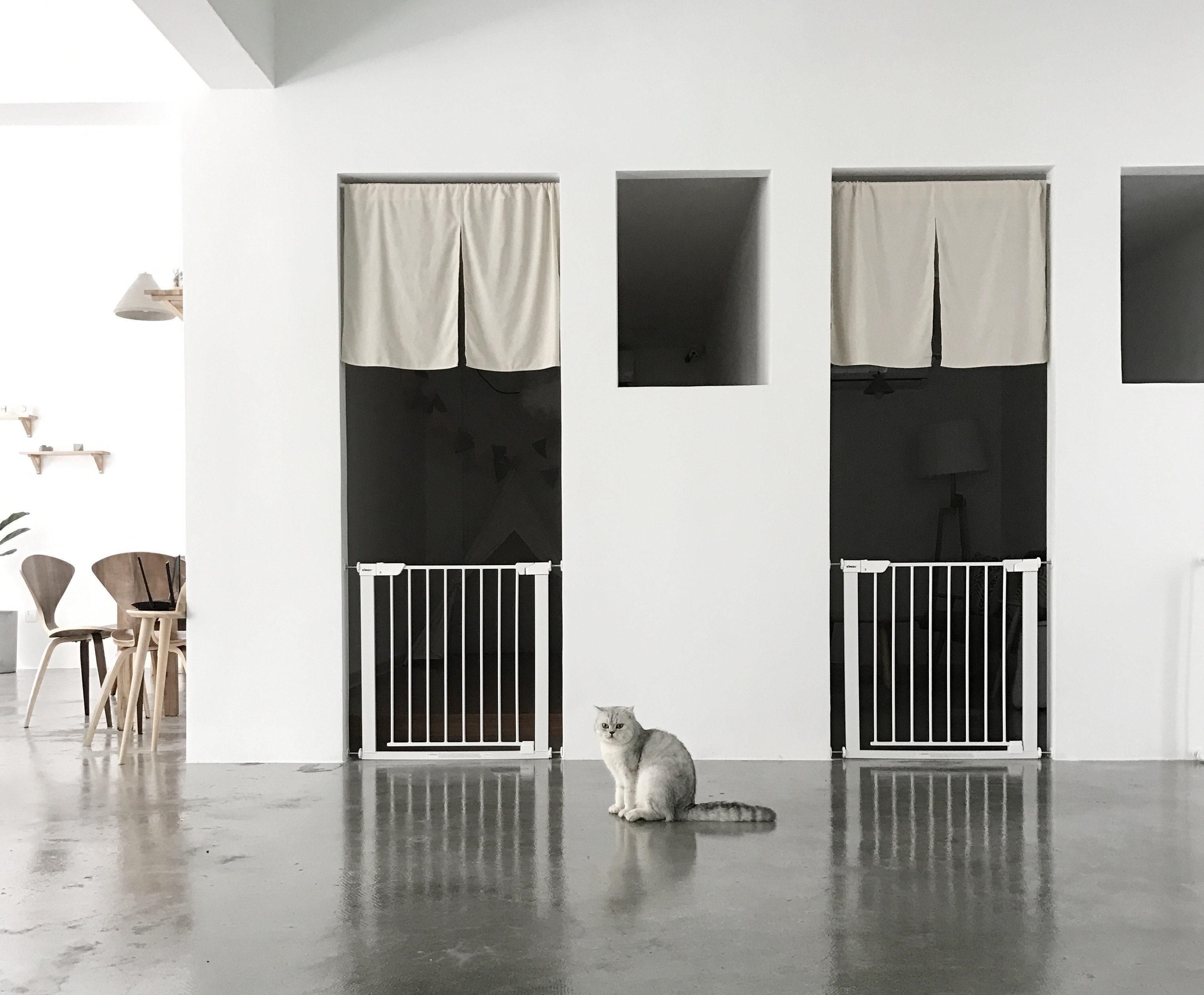 黃浦區簡約風格貓咖廳裝修設計-第2張圖片-上海古都建筑設計集團 黃浦區簡約風格貓咖廳裝修設計-第2張圖片-上海古都建筑設計集團