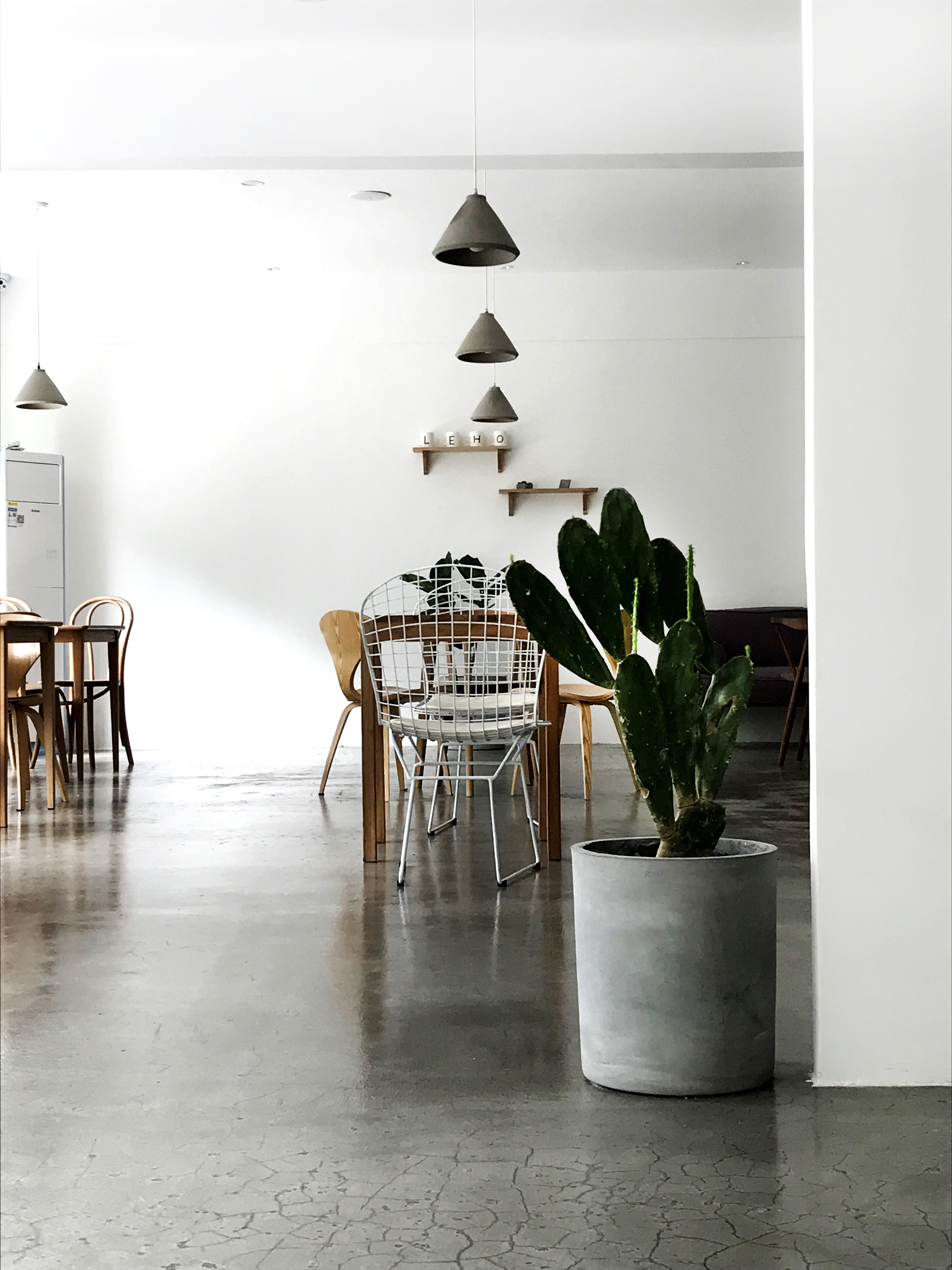 黃浦區簡約風格貓咖廳裝修設計-第3張圖片-上海古都建筑設計集團 黃浦區簡約風格貓咖廳裝修設計-第3張圖片-上海古都建筑設計集團