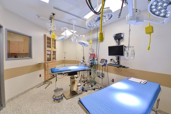 簡(jiǎn)約寵物醫(yī)院裝修設(shè)計(jì)-第5張圖片-上海古都建筑設(shè)計(jì)集團(tuán) 簡(jiǎn)約寵物醫(yī)院裝修設(shè)計(jì)-第5張圖片-上海古都建筑設(shè)計(jì)集團(tuán)