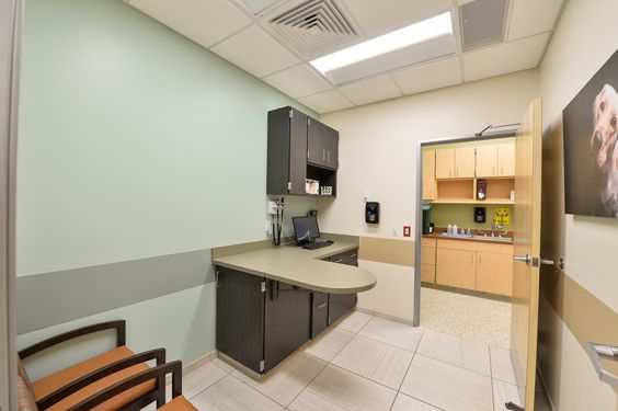 簡(jiǎn)約寵物醫(yī)院裝修設(shè)計(jì)-第3張圖片-上海古都建筑設(shè)計(jì)集團(tuán) 簡(jiǎn)約寵物醫(yī)院裝修設(shè)計(jì)-第3張圖片-上海古都建筑設(shè)計(jì)集團(tuán)