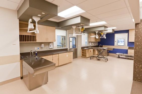 簡(jiǎn)約寵物醫(yī)院裝修設(shè)計(jì)-第1張圖片-上海古都建筑設(shè)計(jì)集團(tuán) 簡(jiǎn)約寵物醫(yī)院裝修設(shè)計(jì)-第1張圖片-上海古都建筑設(shè)計(jì)集團(tuán)