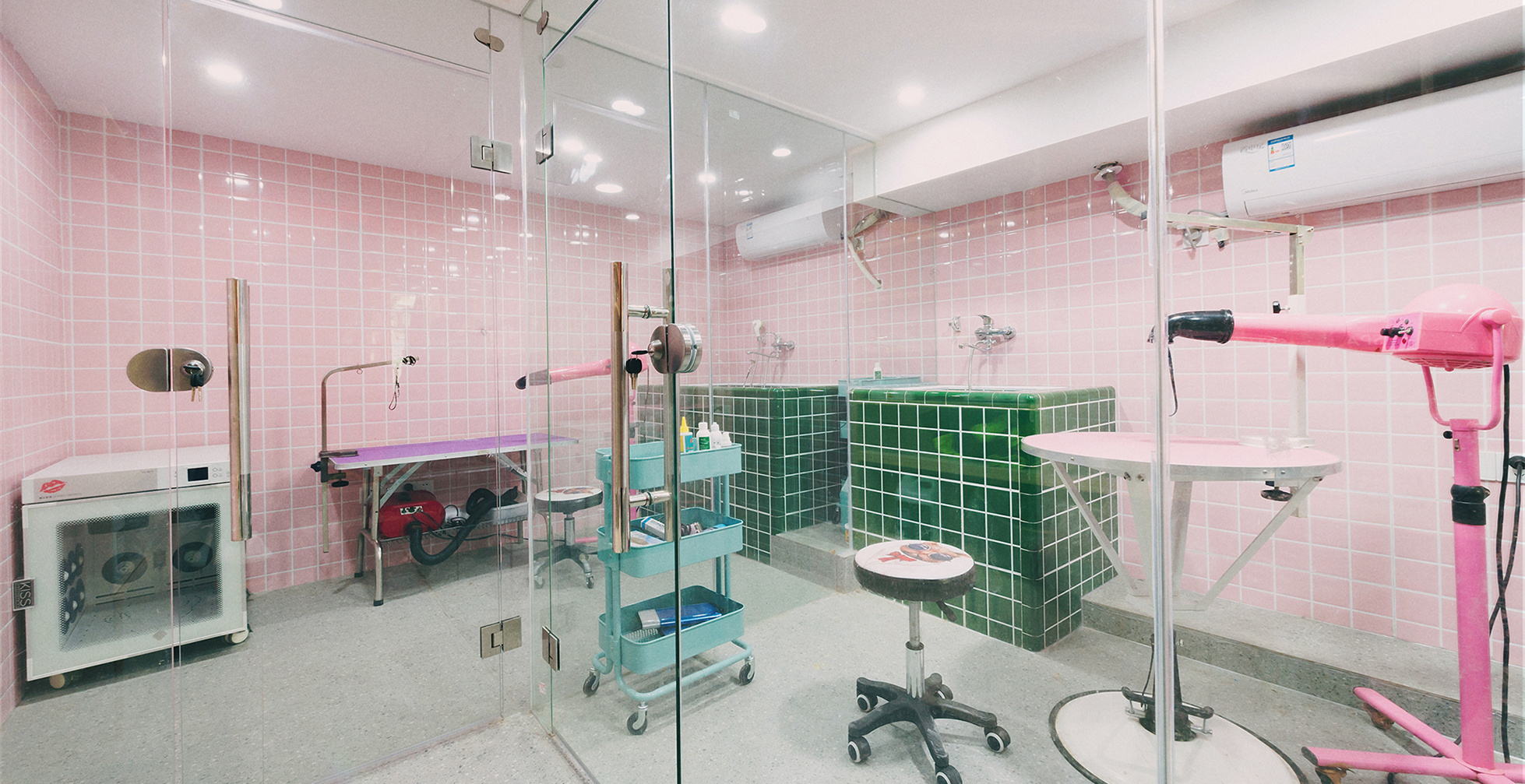 青浦區小清新寵物店裝修設計-第4張圖片-上海古都建筑設計集團