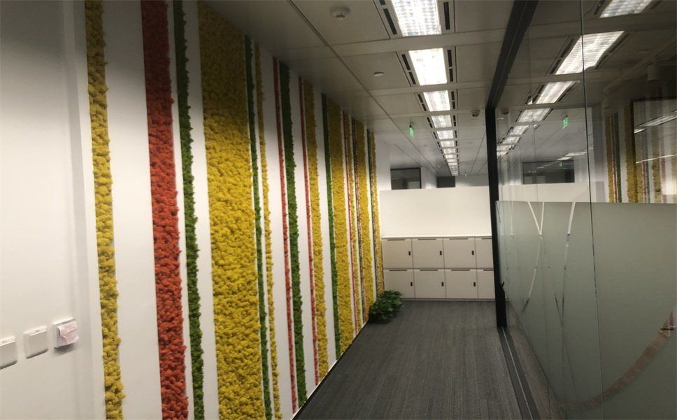 上海辦公室裝修房地產(chǎn)服務(wù)類公司辦公室-第3張圖片-上海古都建筑設(shè)計(jì)集團(tuán) 上海辦公室裝修房地產(chǎn)服務(wù)類公司辦公室-第3張圖片-上海古都建筑設(shè)計(jì)集團(tuán)